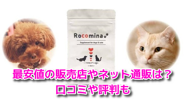 ロコミナ　最安値
