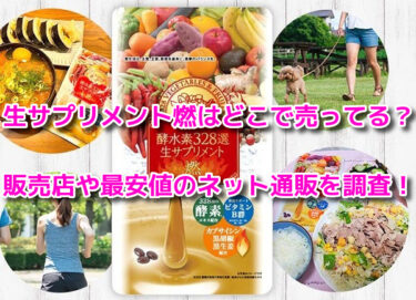 生サプリメント燃はどこで売ってる？販売店や最安値のネット通販を調査
