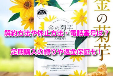 金の菊芋の解約方法や休止方法・電話番号は？定期購入の縛りや返金保証も