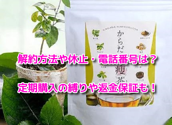 からだ楽痩茶 解約方法