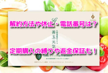 善玉元気の解約方法や休止・電話番号！定期購入の縛りや返金保証も