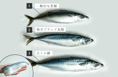 無塩骨取りさば