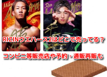 RIZINウエハース2　販売店