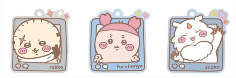 ラッコ・古本屋・あのこ