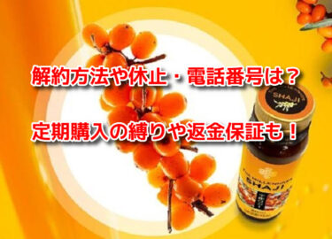千年サジーの解約方法や休止・電話番号は？定期購入の縛りや返金保証も