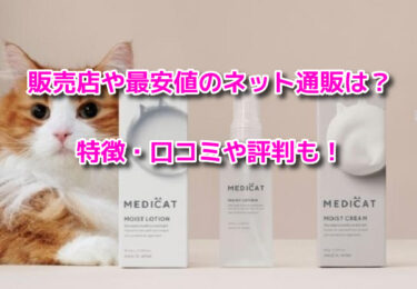 メディキャットモイストローションの販売店や最安値！どこで売ってる？