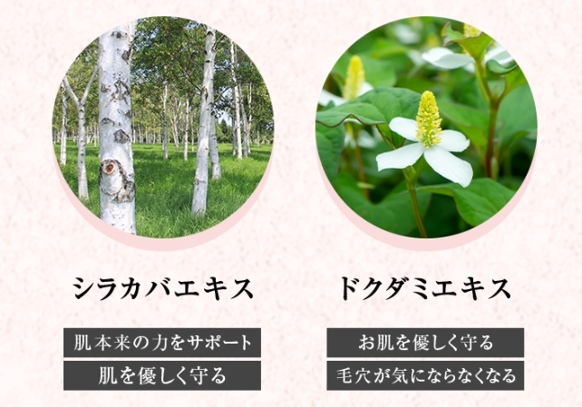 EKATO(エカト)持続型炭酸ガスパック