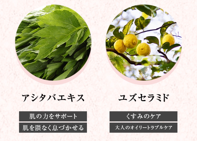 EKATO(エカト)持続型炭酸ガスパック