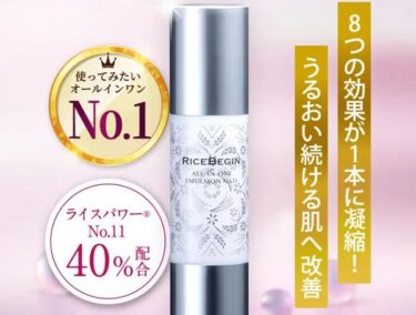 ライスビギンの販売店や最安値のネット通販！どこで売ってる？