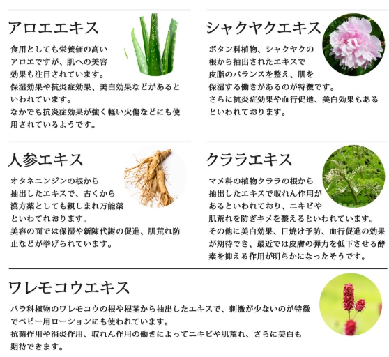 アットベリー植物成分
