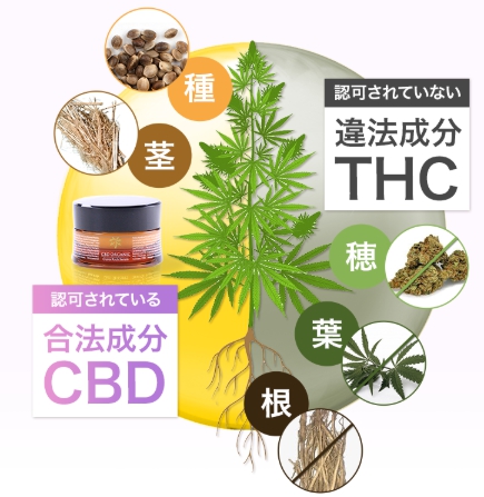 麻の成分