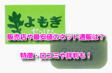 地の塩社よもぎせっけんはドラッグストアで売ってる？販売店や最安値も
