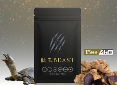 獣王BEAST(ビースト)