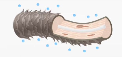 キューティクルケア