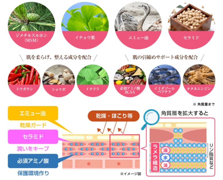 成分