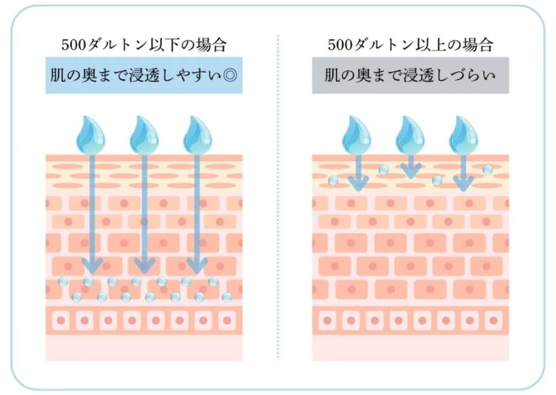 浸透図