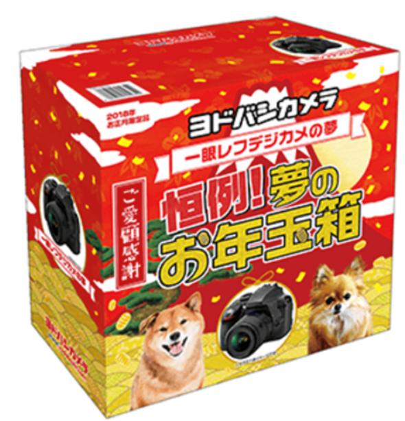 家電福袋　ヨドバシカメラ