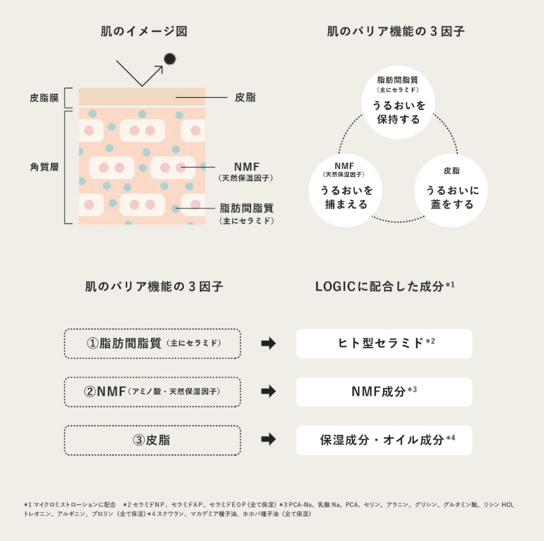 肌イメージ