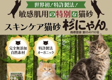 杉にゃん