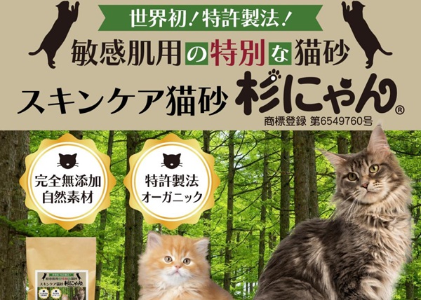 杉にゃん