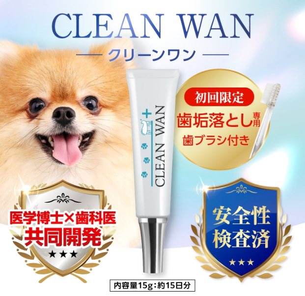 クリーンワン