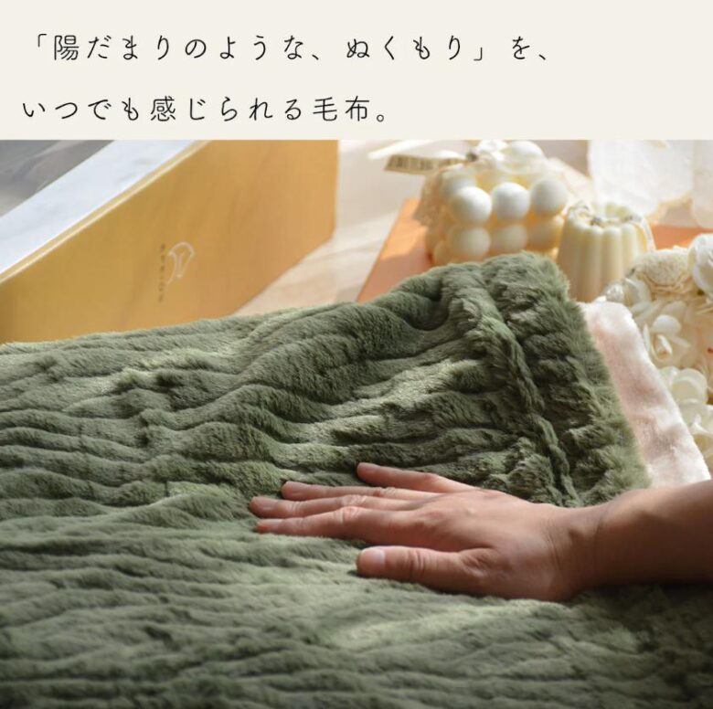 エペイオス　電気毛布　特徴