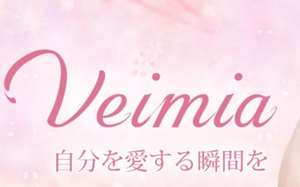 Veimia(ヴェーミア) ブラ