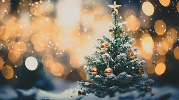 クリスマスツリーを安く買う方法