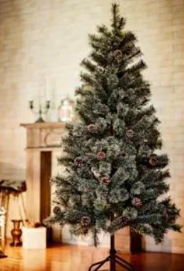 アルザス クリスマスツリー
