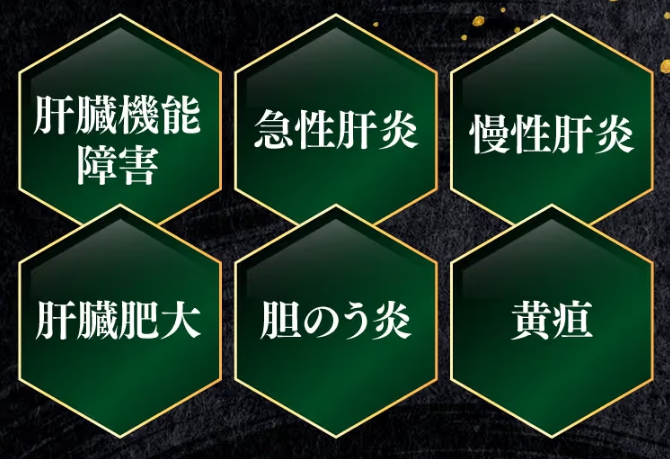 肝臓機能