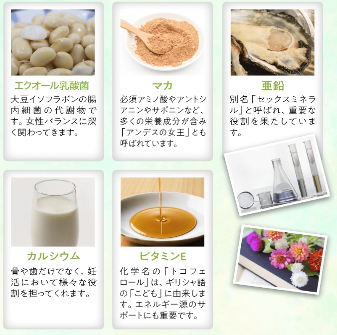 成分