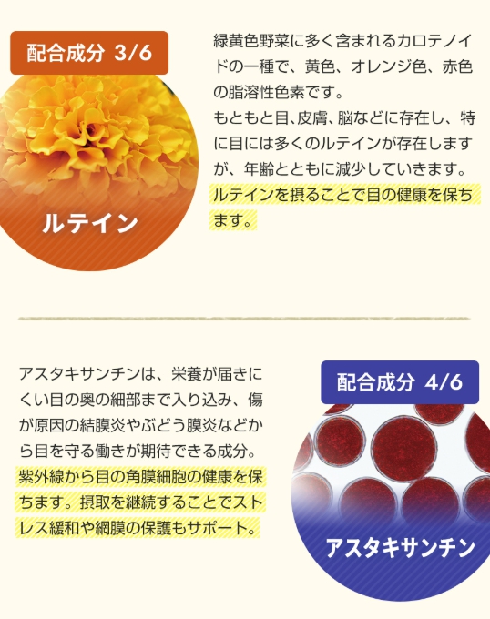 成分