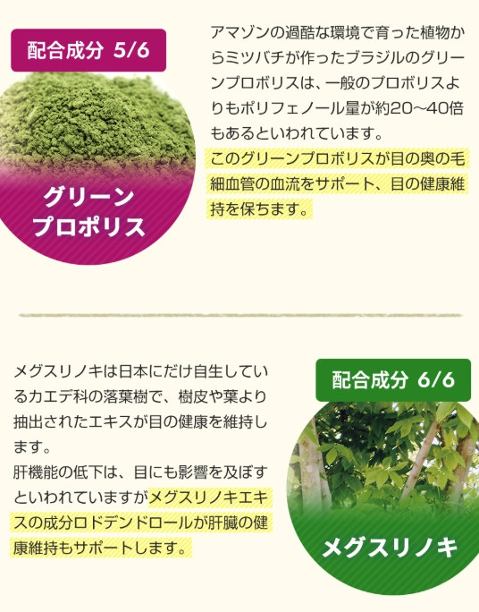 成分