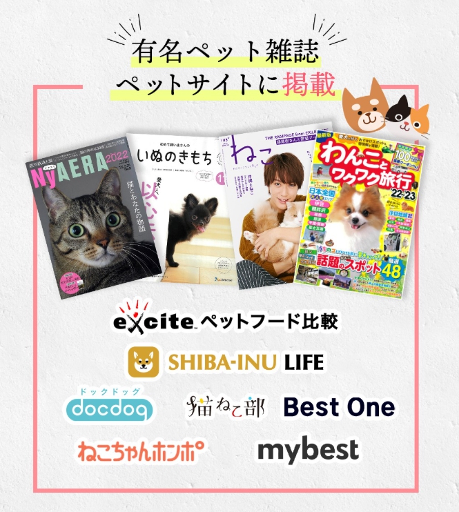 雑誌