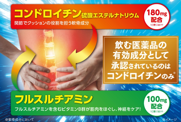 コンドロイチン、フルスルチアミン