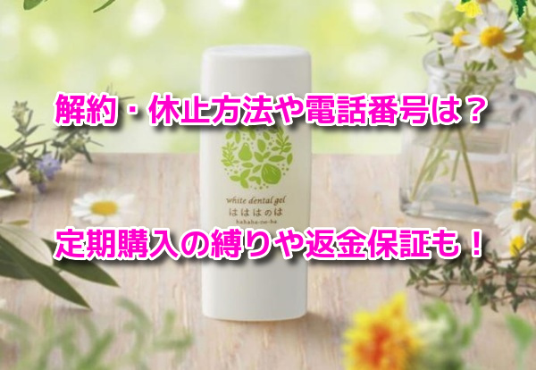 はははのは 解約