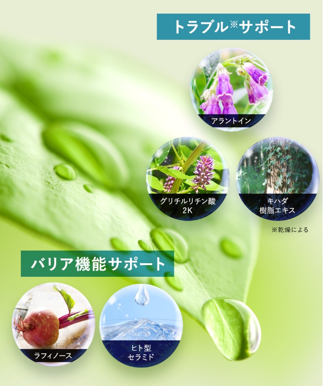 成分