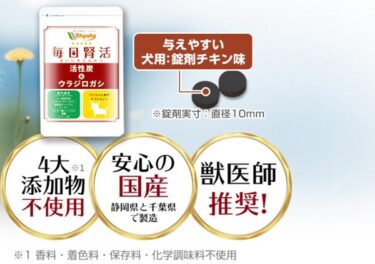 毎日腎活犬用の販売店や最安値のネット通販！どこで売ってる？