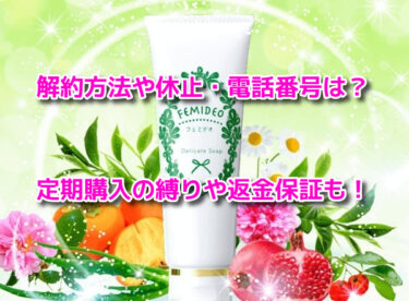 フェミデオの解約方法や休止・電話番号は？定期購入の縛りや返金保証も