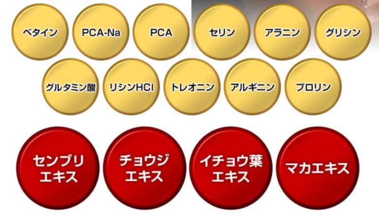 成分