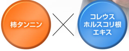成分