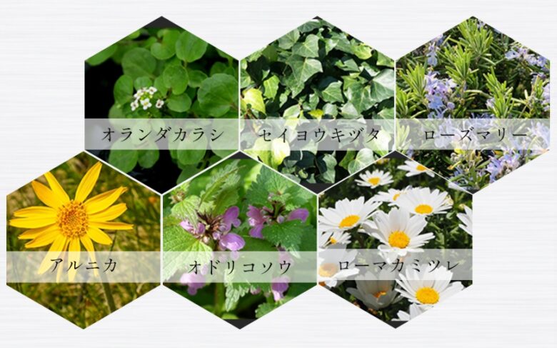 自然由来成分