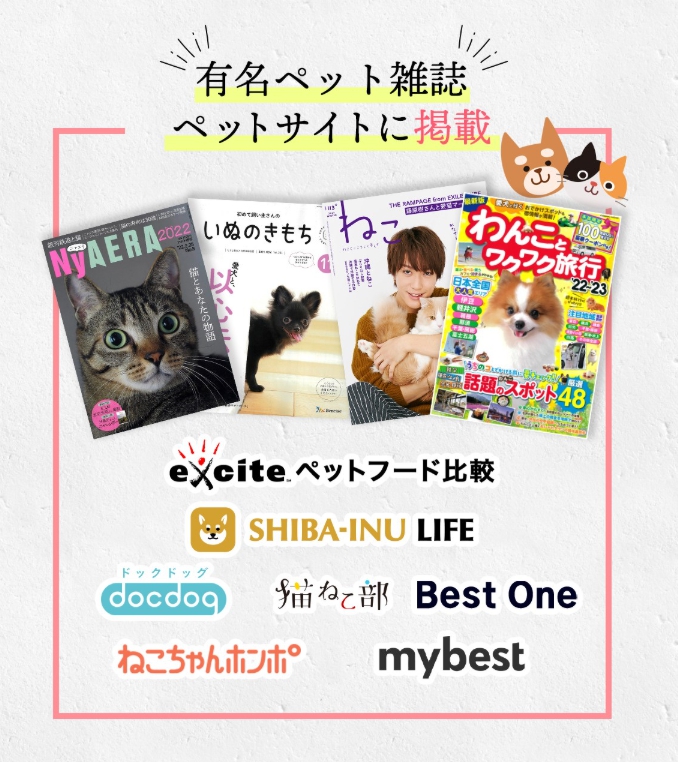 紹介された雑誌