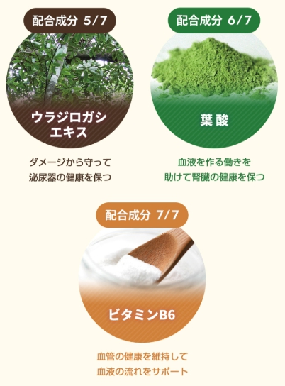成分