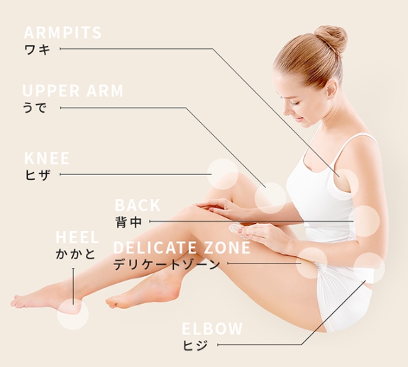部位