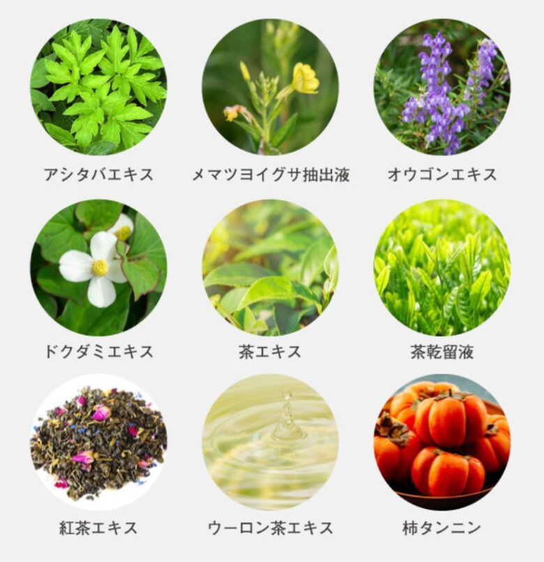 成分
