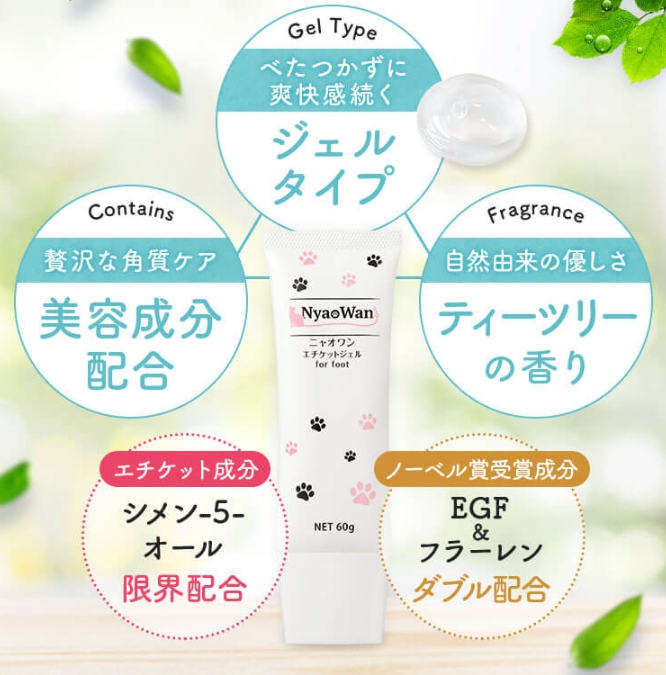 ニャオワンのポイント