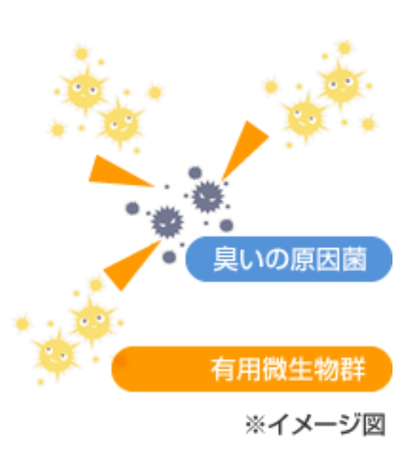 有用微生物群のイメージ図