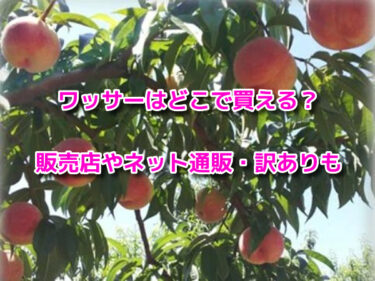 ワッサーはどこで買える？販売店やネット通販・おすすめや訳ありも