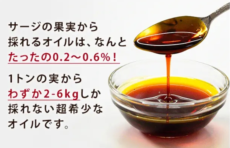 サージ